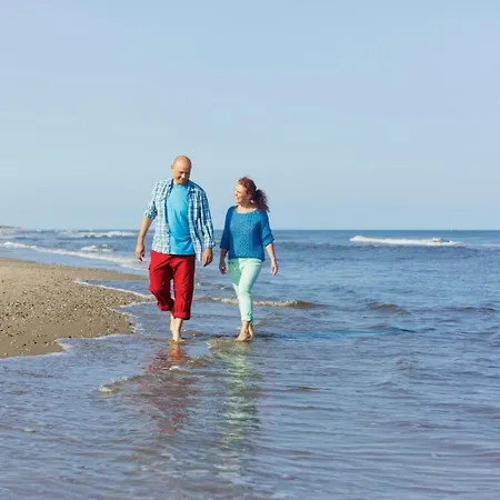 Landal Villapark Vogelmient 假日公园