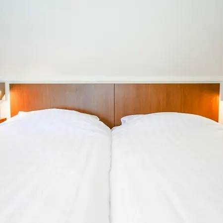 假日公园 Landal Villapark Vogelmient 德科赫