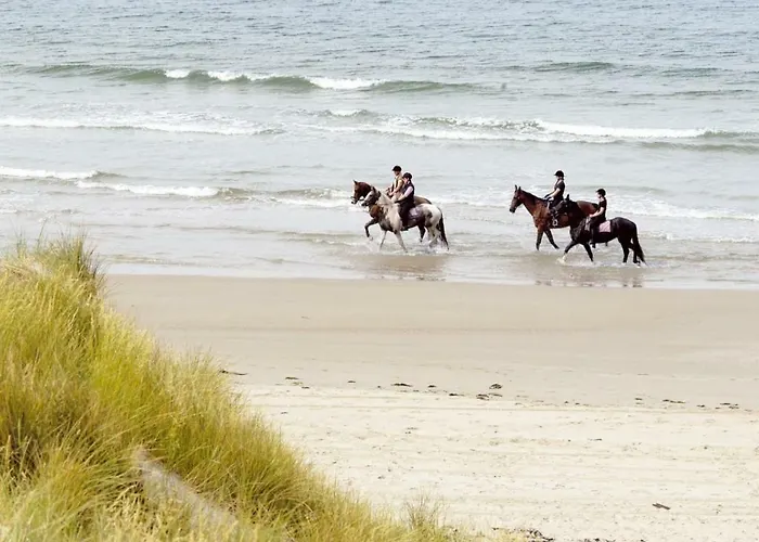 Landal Villapark Vogelmient